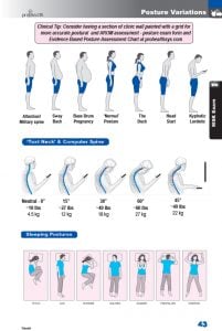 43 posture assessment vizniak