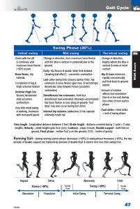 47 gait analysis vizniak