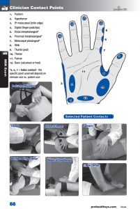66 Hand contacts vizniak