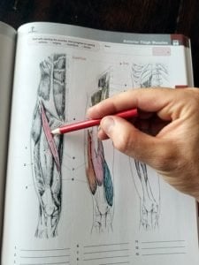 Insidepg