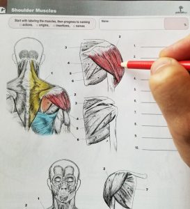 Insidepg2