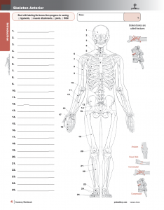 Muscle-Manual-Anatomy-Workbook-page2
