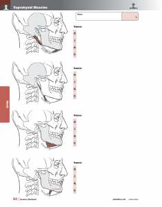 Muscle-Manual-Anatomy-Workbook-page3