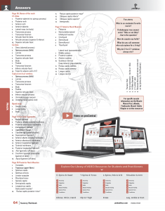 Muscle-Manual-Anatomy-Workbook-page4