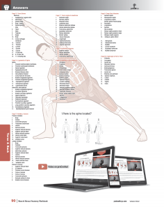 Muscle-Manual-Anatomy-Workbook-page5