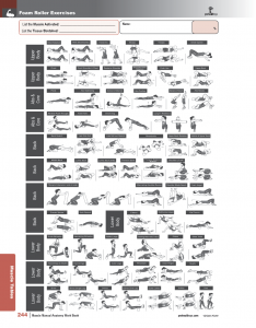Muscle-Manual-Anatomy-Workbook-page9
