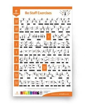 Bo Staff Exercises Poster