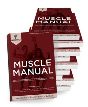 Muscle Manual (12-pack)