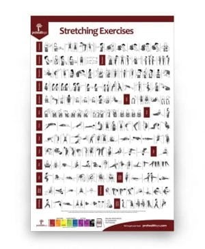 Stretching Exercises Poster