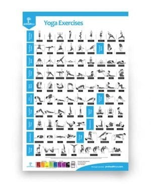 Yoga Exercises Poster