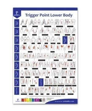 Trigger Point Lower Body