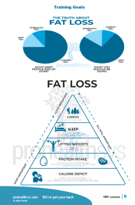 1000 No Gym Workouts Textbook sample page