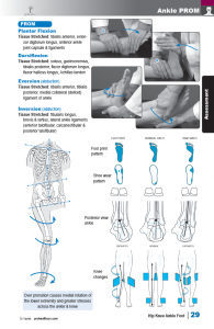 Hip Knee Ankle & Foot Pain Textbook Sample Page