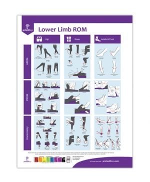 Lower Limb ROM Assessment Poster