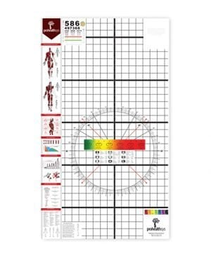 Deluxe Posture Poster