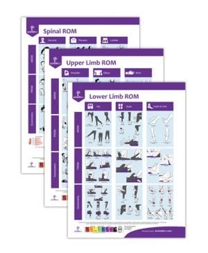 ROM Assessment Posters 3-Pack