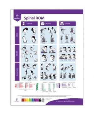 Spinal ROM Assessment Poster
