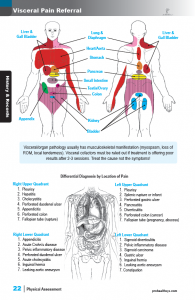 Orthopedic Assessment 7th Edition Textbook