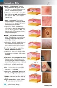 Massage Therapy Ebook sample pages