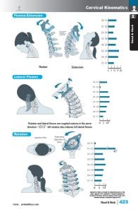ClinicalChiro_samplepg-423