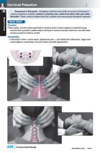 ClinicalChiro_samplepg-426