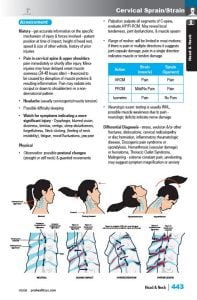 ClinicalChiro_samplepg-443