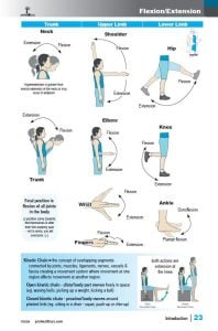 Muscle Manual 5th edition sample page