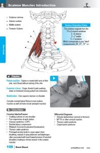 Muscle Manual 5th edition sample page