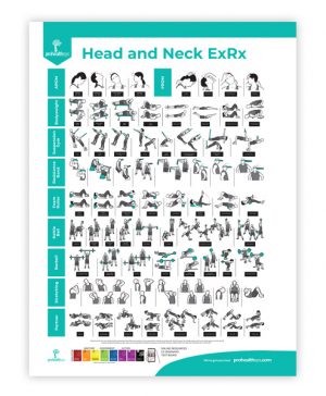 Head and Neck Rehabilitation Poster