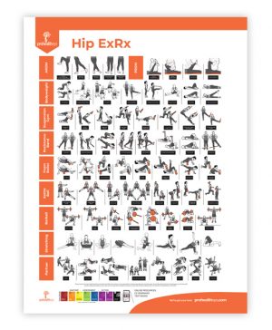 Hip Rehabilitation Poster
