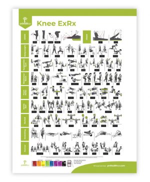 Knee Rehabilitation Poster