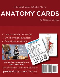 Anatomy-Cards_backinfo-sample
