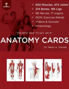 Anatomy-Cards_coverinfo-sample