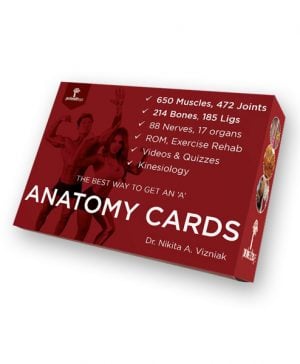 Muscle Manual Anatomy Cards 3rd Edition