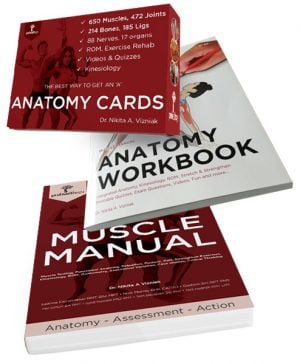 Muscle Manual, Anatomy Workbook, and Anatomy Cards