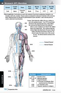 Acupuncture-sample-pg-18.png