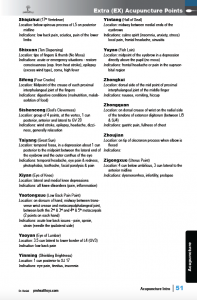 Acupuncture-sample-pg-51.png
