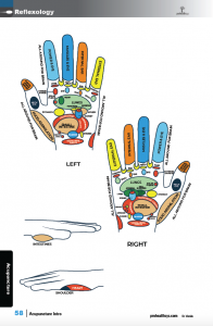 Acupuncture-sample-pg-58.png