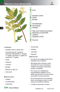 BotanicalMedicine_interior_page_230.png