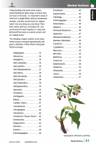 BotanicalMedicine_interior_page_31.png