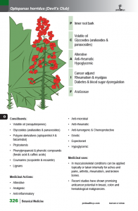 BotanicalMedicine_interior_page_326.png