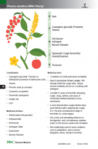 BotanicalMedicine_interior_page_354.png