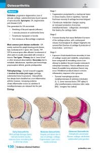 Nutrition-sample-pg-10.jpg