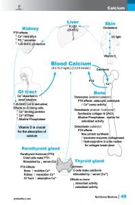 Nutrition-sample-pg-7.jpg