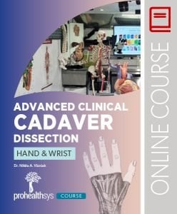 0203.8 Advanced Clinical Cadaver Dissection - Hand & Wrist