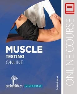 Muscle Testing Mini Course