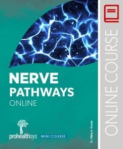 Nerve Pathways Mini Course