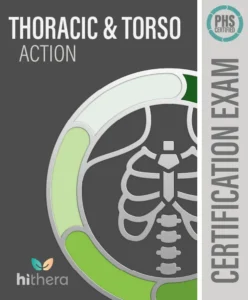 Thoracic Torso Action