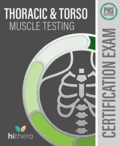 Thoracic Torso Muscle Testing