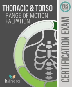 Thoracic Torso ROM Palpation